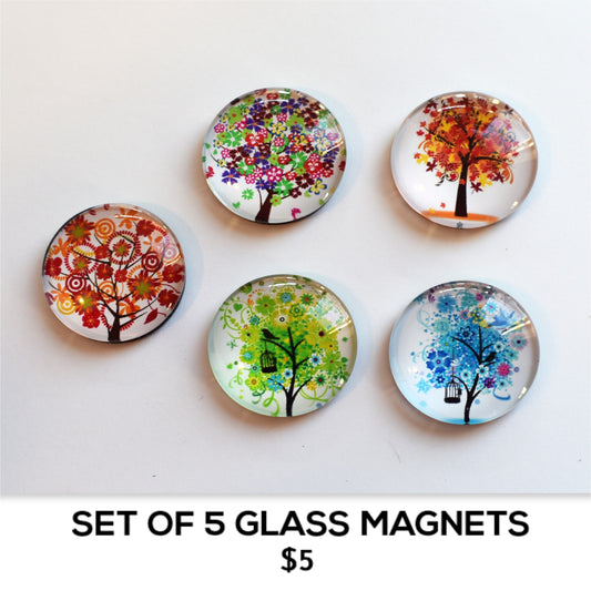 SET OF 5 GLASS MAGNETS