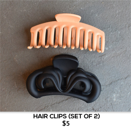 HAIR CLIPS (SET OF 2)