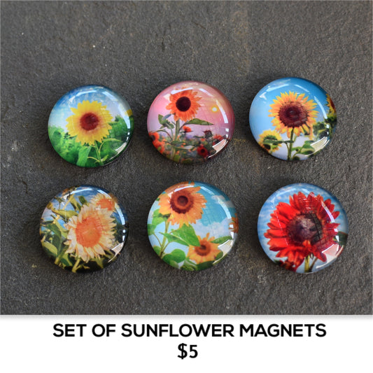 SUNFLOWER MAGNETS