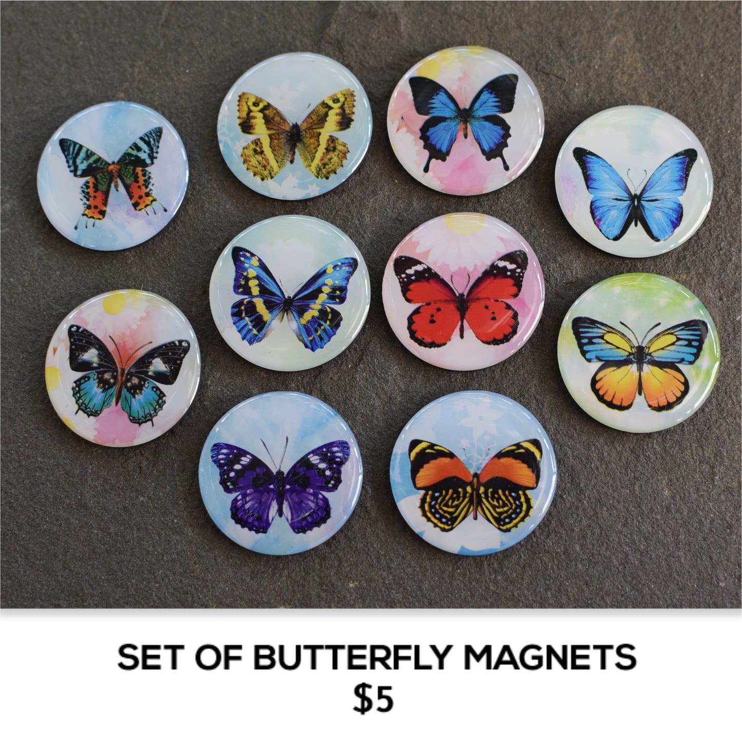 BUTTERFLY MAGNETS