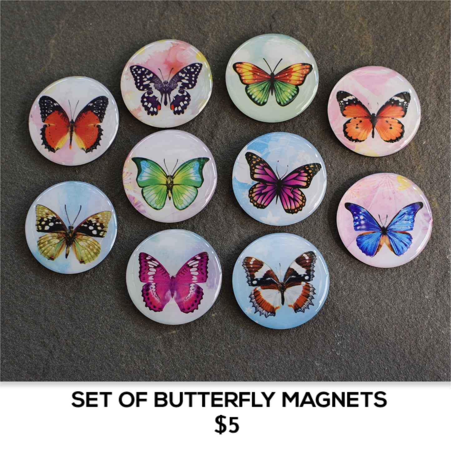 BUTTERFLY MAGNETS